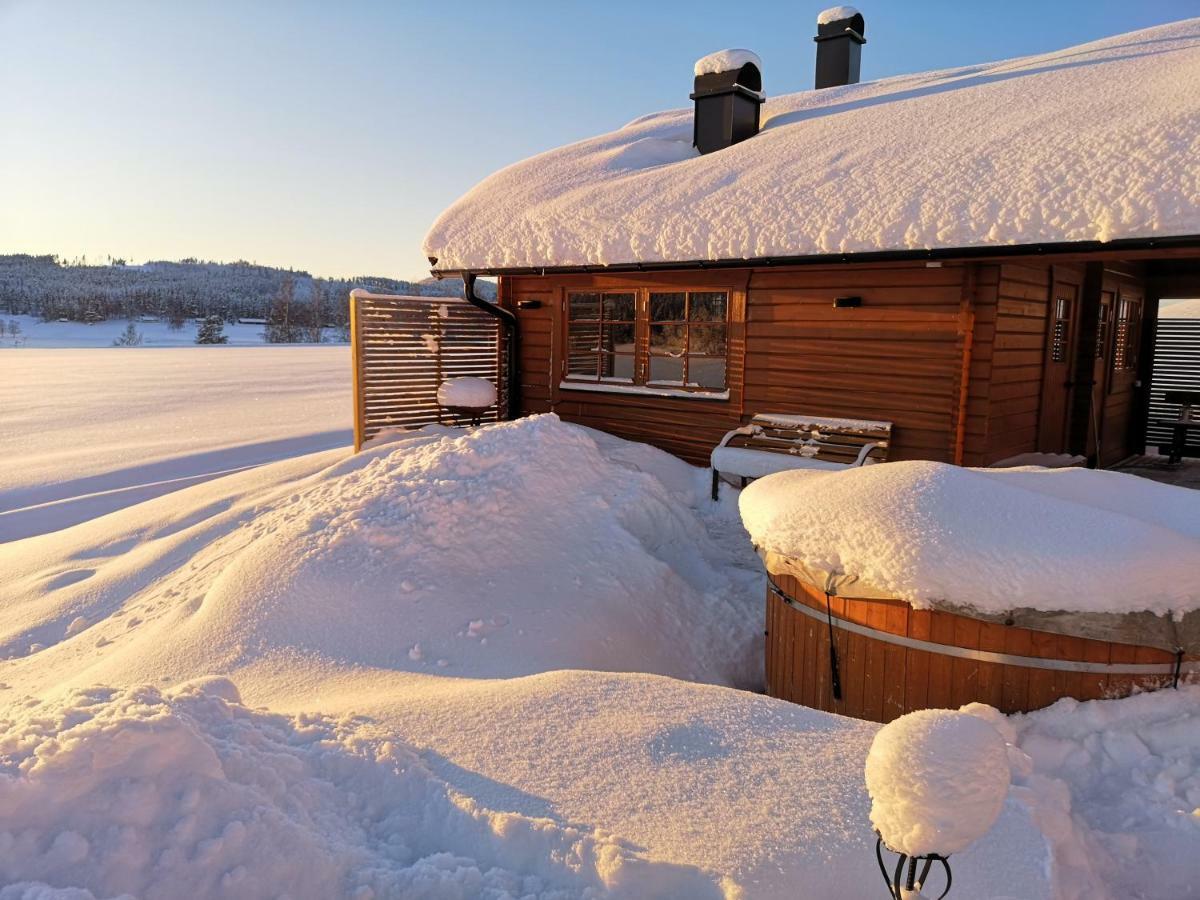 Skatauddens Lantgard Villa Älvsbyn Dış mekan fotoğraf