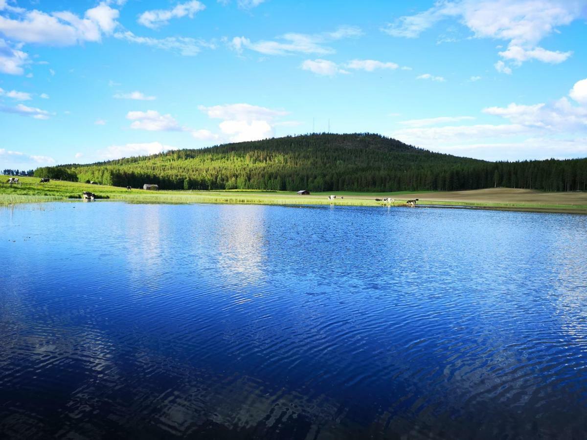 Skatauddens Lantgard Villa Älvsbyn Dış mekan fotoğraf
