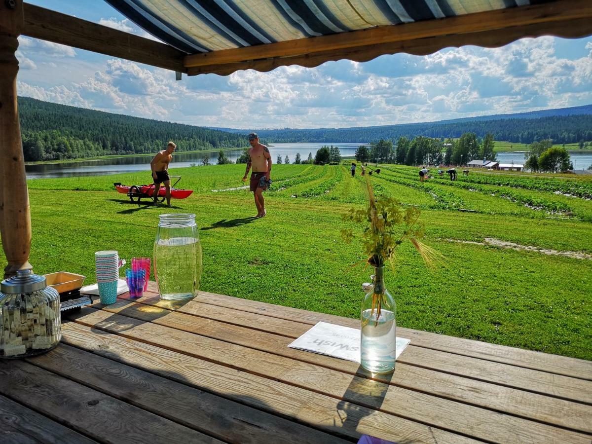 Skatauddens Lantgard Villa Älvsbyn Dış mekan fotoğraf