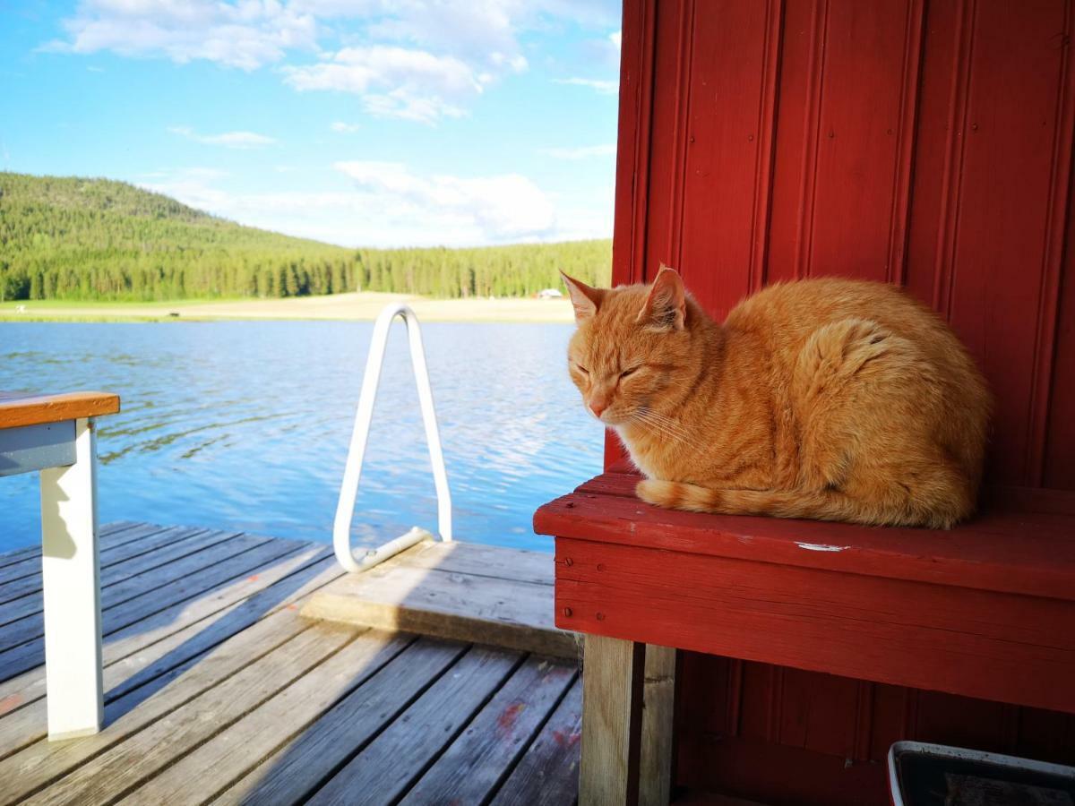 Skatauddens Lantgard Villa Älvsbyn Dış mekan fotoğraf